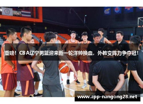 重磅！CBA辽宁男篮迎来新一轮洋帅换血，外教变阵力争夺冠！
