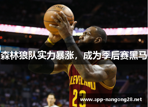 森林狼队实力暴涨，成为季后赛黑马